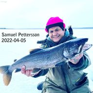 Samuel Pettersson_2022-04-06